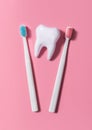 Two plastic toothbrushes next to a big tooth on a pink background. Oral hygiene. Flat lay, top view Royalty Free Stock Photo