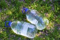 Two plastic water bottles on the grass. Royalty Free Stock Photo