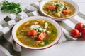 Two plates of chicken soup with vegetables, lentils and sour cream. Royalty Free Stock Photo