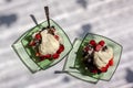 Two plates with cottage cheese and berries under sour cream in a flat lay style.