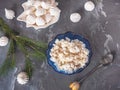 Two plates with fresh cottage cheese, bisze cookies. Tea spoon. Royalty Free Stock Photo