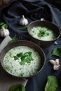 Two plates of green cream soup. side view Royalty Free Stock Photo