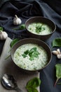 Two plates of green cream soup.top view Royalty Free Stock Photo