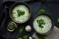 Two plates of green creamy garlic soup. Royalty Free Stock Photo