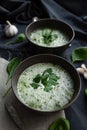 Two plates of zucchini cream soup. Royalty Free Stock Photo