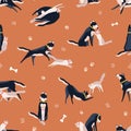Two playful domestic colorful cat and dog seamless pattern. Funny cartoon animal running, playing, sitting and having