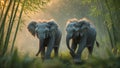 Two Baby Elephants Walking in Bamboo Forest at Sunrise Royalty Free Stock Photo