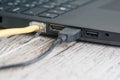 Two plugged cables in a laptop`s USB and network sockets Royalty Free Stock Photo