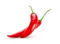 Two pods of chili peppers on white background Royalty Free Stock Photo