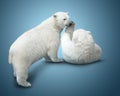Two polar bear Royalty Free Stock Photo