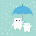 Two polar white small little bear cub holding umbrella. Rain drops. Cute cartoon baby character. Arctic animal collection. Love ca Royalty Free Stock Photo