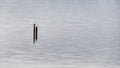 Two poles stuck in the sea water for mooring boats. Royalty Free Stock Photo