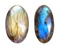 Two Polished blue labradorite Caboshons. Isolated on white background