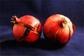 Two Pomegranates