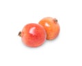 Two pomegranates fruit