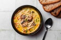 Two portions of Hearty chicken mushroom soup with wild rice, sour cream Royalty Free Stock Photo