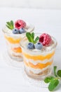 Two portions of homemade dessert cream with peaches, fresh berries and mint in a glass on a light background Royalty Free Stock Photo