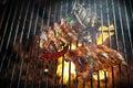 Two portions of sticky spicy pork ribs on a BBQ Royalty Free Stock Photo