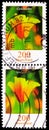 Two postage stamps printed in Germany shows Eschscholzia californica - California Poppy, Flowers serie, circa 2006 Royalty Free Stock Photo