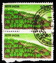 Two postage stamps printed in India shows India shows Reafforestation, serie, circa 1984 Royalty Free Stock Photo