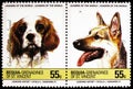 Two postage stamps printed in Saint Vincent Grenadines shows Cavalier-King-Charles-Spaniel Canis lupus familiaris and German