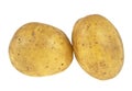 Two potatoes isolated on white background Royalty Free Stock Photo