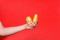 Two potatoes on red background Royalty Free Stock Photo