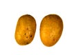 Two potatos isolated on white Royalty Free Stock Photo