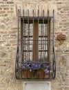 Two pots filled with blooms of bacopa resting in a steel holder and window guard in Montepulciano, Italy.