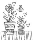 Two pots with flower coloring book for adults vector illustration. Anti-stress coloring for adult in Zentangle style. Black and