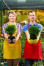 Two pots with a green tree in the hands of workers