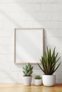 Two potted succulents and a picture frame on a wooden table. Generative AI image. Blank poster mockup.
