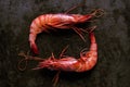 Two prawns on a black stone Royalty Free Stock Photo