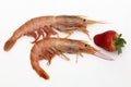 Two prawns and a strawberry Royalty Free Stock Photo