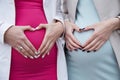 Two pregnant girlfriends holding on to belly hands in heart-shaped waiting for boy and girl pink and blue dress wives wedding Royalty Free Stock Photo