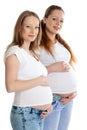 Two pregnant women. Royalty Free Stock Photo