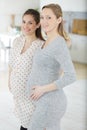 two pregnant women showing their bellies Royalty Free Stock Photo