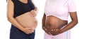 Two pregnant women stroking her belly Royalty Free Stock Photo