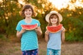 Two preschool smiling child sister smile and eat watermelon at summer park with sunshine on background