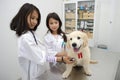 Pretty girls Pretending to be veterinarians. Royalty Free Stock Photo