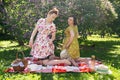 Two pretty pin up ladies having nice picnic in the city park in a sunny day together. girls friends enjoy hot summer weather. beau Royalty Free Stock Photo