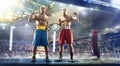 2 two professional box figters on the grand ring Royalty Free Stock Photo