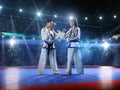 Two professional female karate fighters are Royalty Free Stock Photo