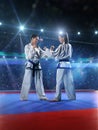 Two professional female karate fighters are Royalty Free Stock Photo