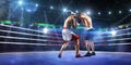 Two professionl boxers are fighting on arena Royalty Free Stock Photo
