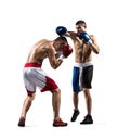 Two professionl boxers are fighting on the white Royalty Free Stock Photo