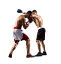 Two professionl boxers are fighting on the white Royalty Free Stock Photo