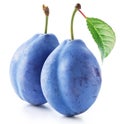 Two prune plums with green leaf on white background. File contains clipping paths Royalty Free Stock Photo