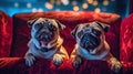 two pugs are bored funny dog Generative AI Royalty Free Stock Photo