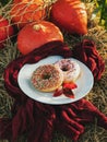 Two pumpkin donuts lie on a white plate on a haystack.